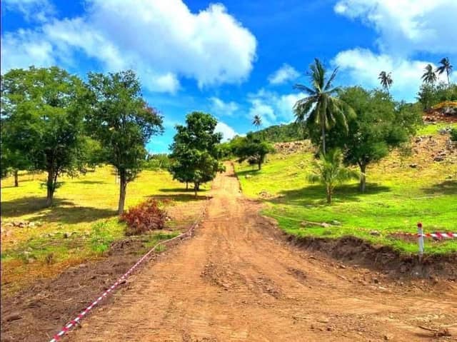 Flat land in Mae Nam , Soi 1, starting price 4,007,500 million, starting size 1,282.40 sq m. — photo 3