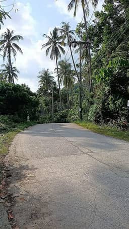 25 Rai (40,000 sq.m.) of Prime Jungle Land — photo 6