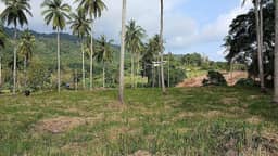 25 Rai (40,000 sq.m.) of Prime Jungle Land — photo 4