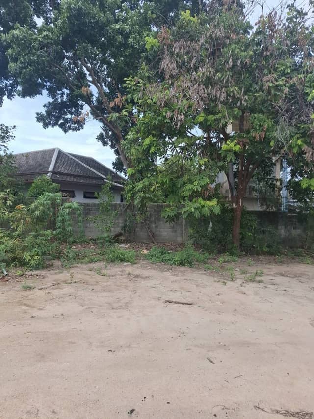 Great Investment! Land for Sale in Plai Laem, Koh Samui (only! 3.3M THB) – Perfect flat land — photo 3