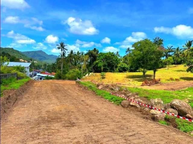Flat land in Mae Nam , Soi 1, starting price 4,007,500 million, starting size 1,282.40 sq m. — photo 2