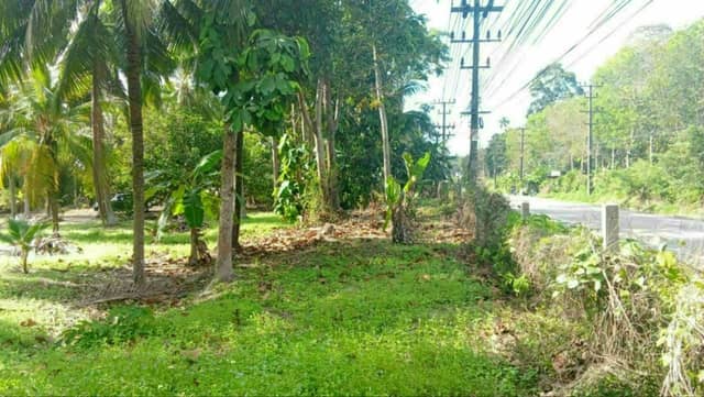 Prime 5 Rai (8,000 sqm) Land for Long-Term Lease in Taling Ngam — photo 3