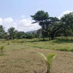 2.5 Rai Prime Land for Sale in Taling Ngam — photo 4