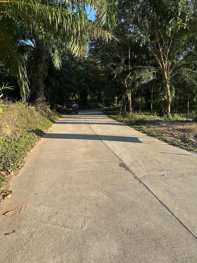 Prime Land – Mae Nam Soi 1 | Behind Water Park — photo 6
