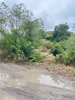 Land for Lease, 1 Rai, Bophut, Koh Samui — photo 3