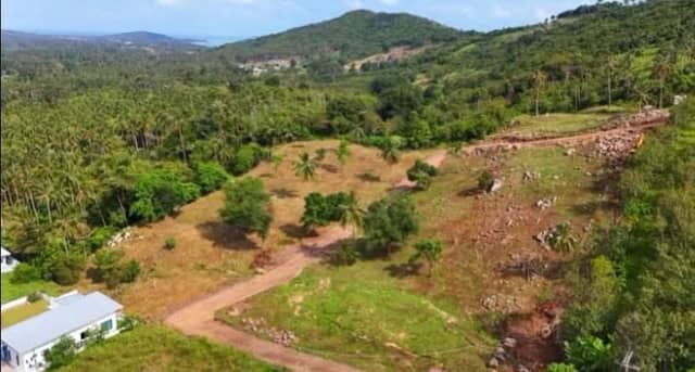 Flat land in Mae Nam , Soi 1, starting price 4,007,500 million, starting size 1,282.40 sq m.