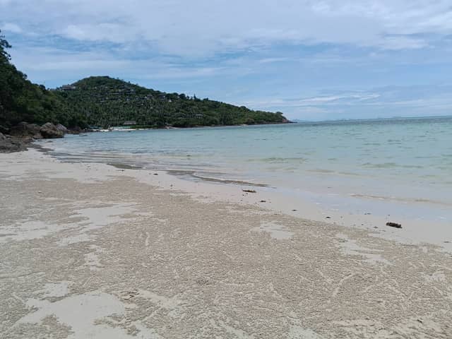 Beachfront Land for Lease – 18.5 Rai (29,600 sqm) | 150m Frontage | 30-Year Lease | Ang Thong, Near Four Seasons, Koh Samui — photo 2