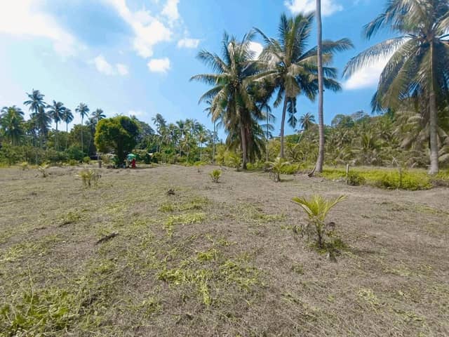 2.5 Rai Prime Land for Sale in Taling Ngam — photo 2