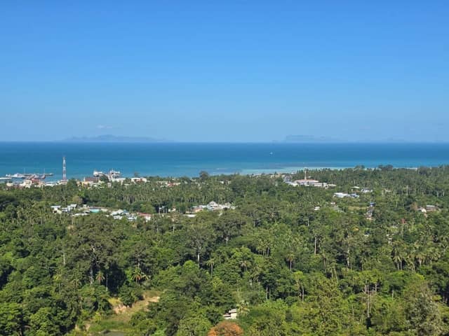 Sea-View Development Land in Samui – 3 Rai for Long-Term Rent — photo 2