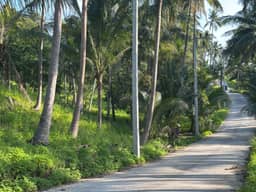 Beautiful 6 rai plot of land for rent at a special price of only 18,000 baht per rai per month. — photo 6