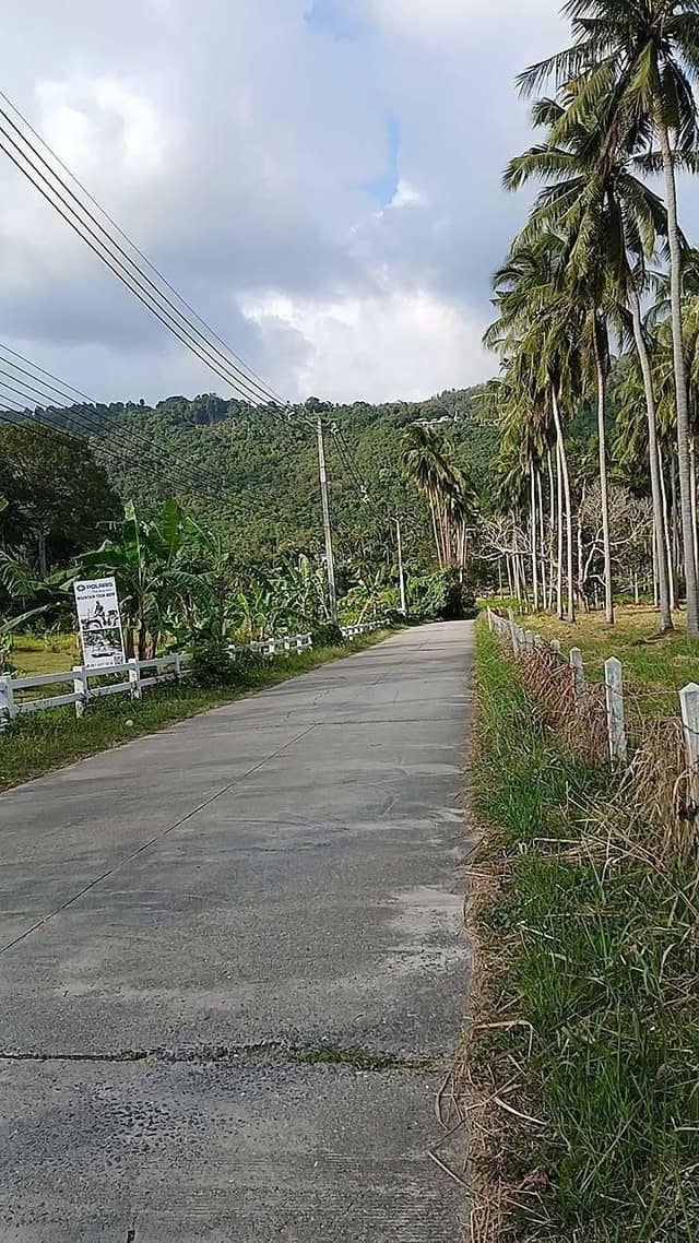 25 Rai (40,000 sq.m.) of Prime Jungle Land — photo 2