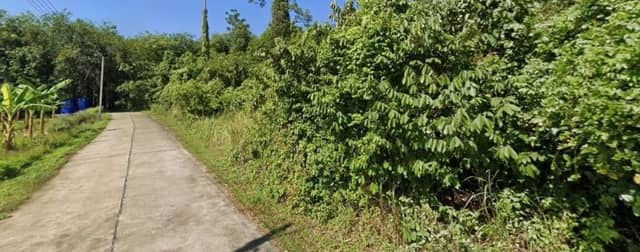 Panoramic Sea View Hillside Land for Long-Term Lease in Koh Samui — photo 2