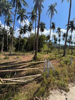 Land for Long-Term Lease in Mae Nam — photo 4