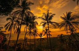 Sea-View Development Land in Samui – 3 Rai for Long-Term Rent — photo 6