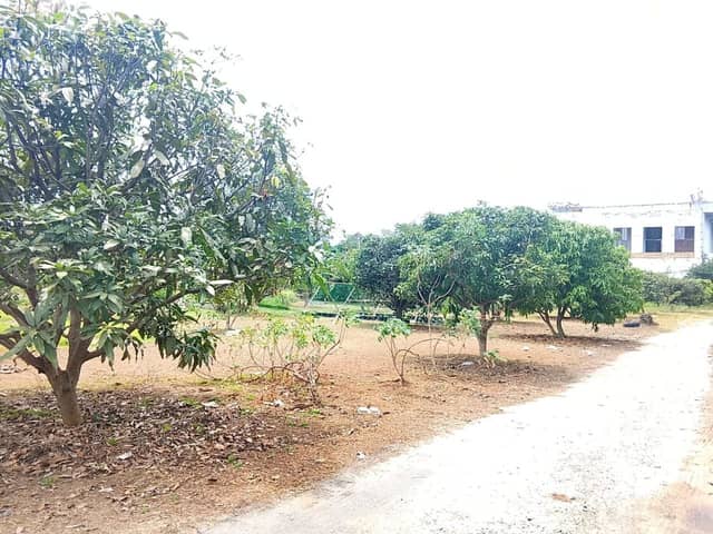 Chaweng Lake View 4.1 Rai Land for Rent — photo 3