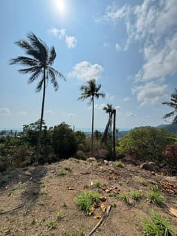 Prime Sea View Land for Long-Term Lease in Bo Phut Hill, Koh Samui (10+ Rai) — photo 5