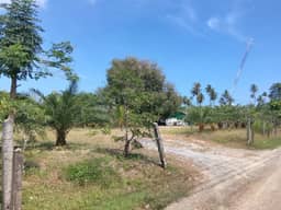 Chaweng Lake View 4.1 Rai Land for Rent — photo 6