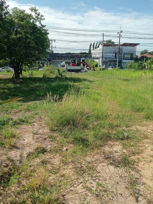 Long-Term Flat Land for Rent in Maenam, Samui | 28k THB/Rai/Month – Just 50m from Main Road, Opp. Boonthavorn