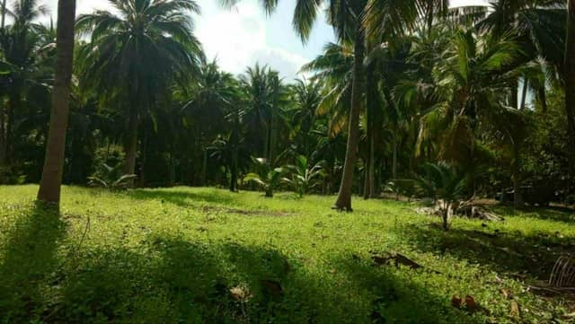 Prime 5 Rai (8,000 sqm) Land for Long-Term Lease in Taling Ngam — photo 2
