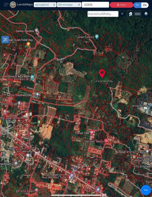 25 Rai (40,000 sq.m.) of Prime Jungle Land — photo 3