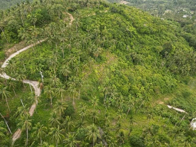 Adjoining Chanote Land Plots from 6.5M THB/rai Chanote, Bophut, Koh Samui — фото 3