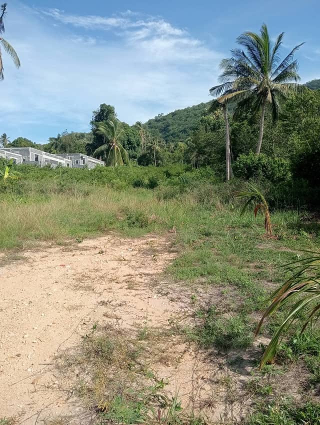Long-Term Flat Land for Rent in Maenam, Samui | 28k THB/Rai/Month – Just 50m from Main Road, Opp. Boonthavorn — photo 2
