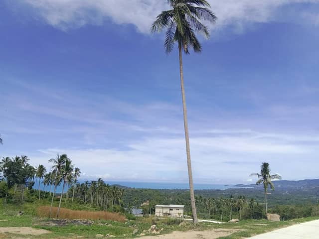 Sea View Flat Land in Taling Ngam, Samui | 4.8M THB/Rai – Prime Plot &amp; Easy Build