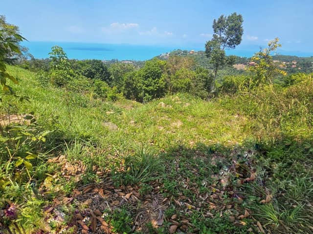 Land Plot 1 Bang Por Soi 2 | 892 m² — photo 3