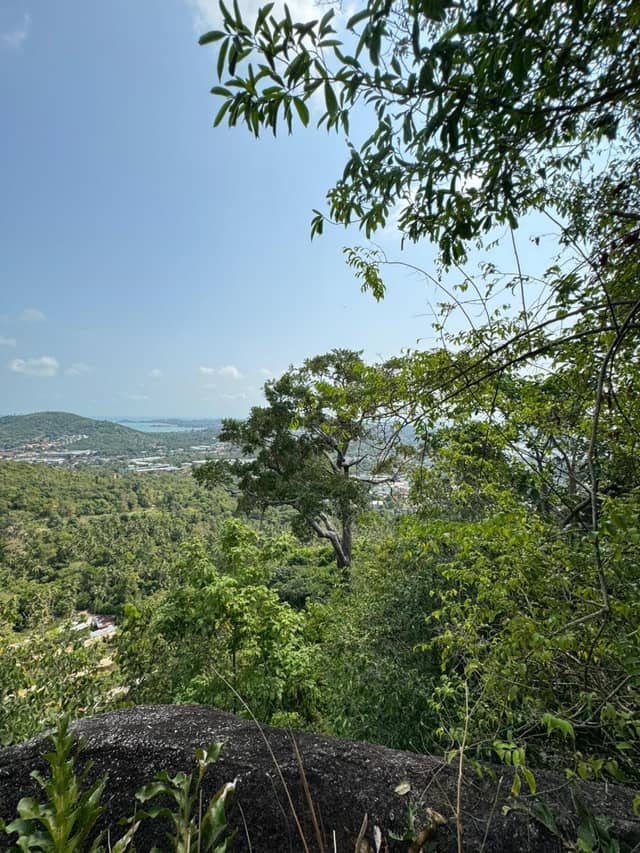 Prime Sea View Land for Long-Term Lease in Bo Phut Hill, Koh Samui (10+ Rai) — photo 3