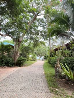 Beachfront & Hillside Development Land Overlooking Koh Phangan — photo 6