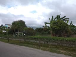 Chaweng Lake View 4.1 Rai Land for Rent — photo 4