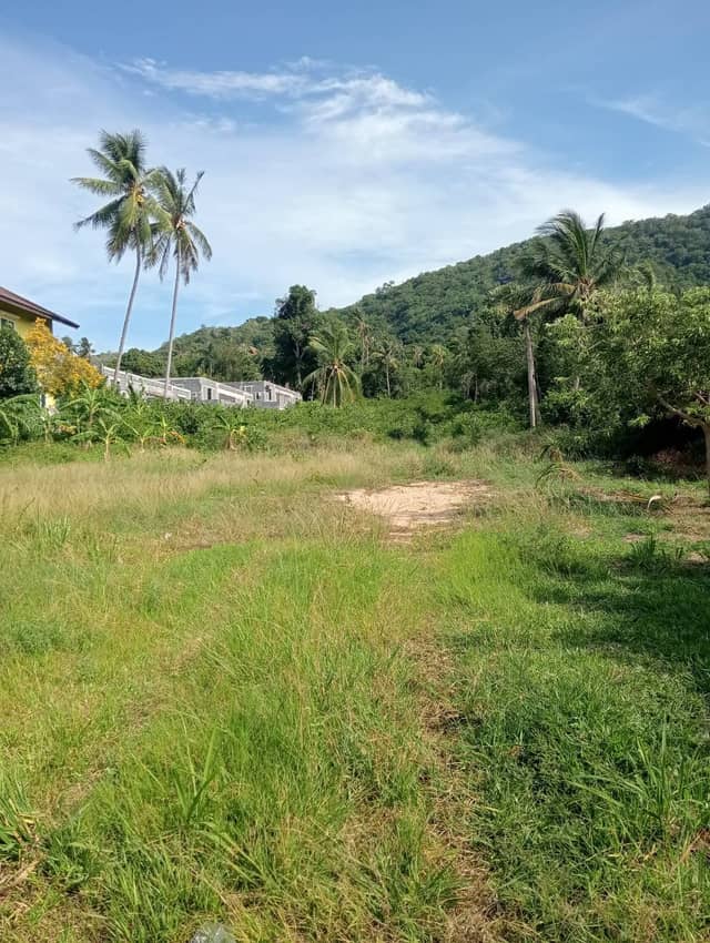 Long-Term Flat Land for Rent in Maenam, Samui | 28k THB/Rai/Month – Just 50m from Main Road, Opp. Boonthavorn — photo 3