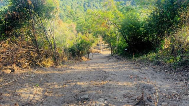 12 Rai (19,200 sqm) Mixed-Terrain Land with Sea Views in Nathon — photo 3