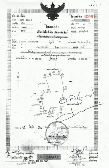План 5