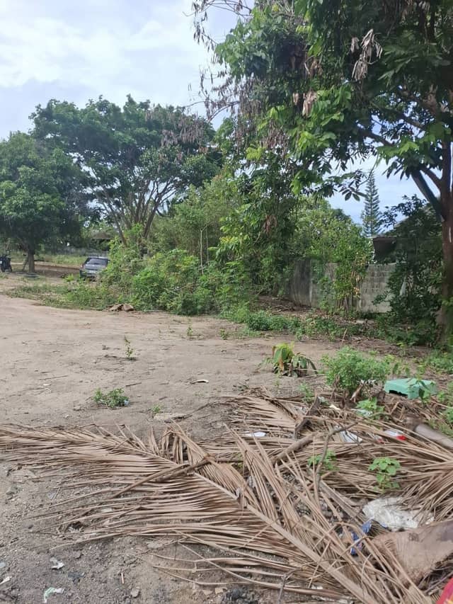 Great Investment! Land for Sale in Plai Laem, Koh Samui (only! 3.3M THB) – Perfect flat land — photo 2