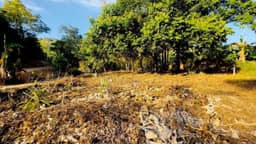 12 Rai (19,200 sqm) Mixed-Terrain Land with Sea Views in Nathon — photo 4