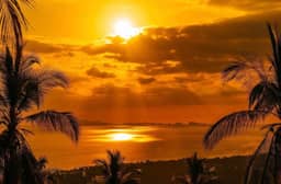 Sea-View Development Land in Samui – 3 Rai for Long-Term Rent — photo 4