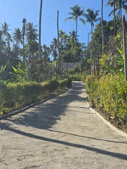 Sea-View Development Land in Samui – 3 Rai for Long-Term Rent — photo 5