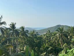 Beautiful 6 rai plot of land for rent at a special price of only 18,000 baht per rai per month. — photo 5