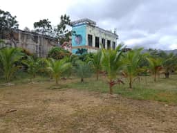 Chaweng Lake View 4.1 Rai Land for Rent — photo 5