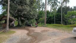 25 Rai (40,000 sq.m.) of Prime Jungle Land — photo 5