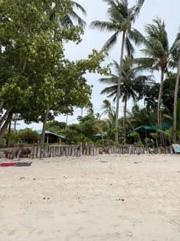 Beachfront & Hillside Development Land Overlooking Koh Phangan — photo 5
