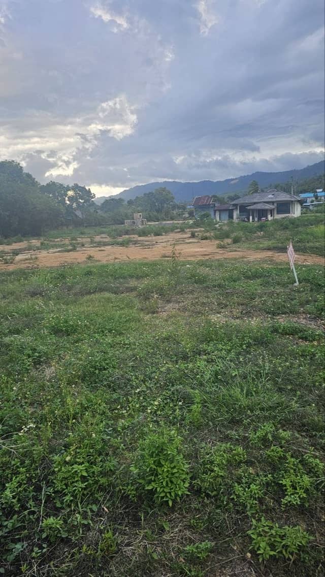 Long-Term Land Lease in Mae Nam | 2 Rai 3 Ngan — photo 3