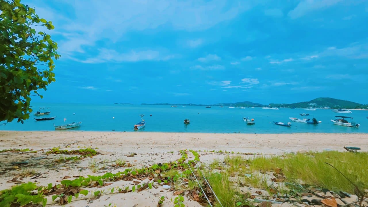 Rare 9,084 sq.m. Beachfront Land for Sale in Bophut — The beach along the front boundary