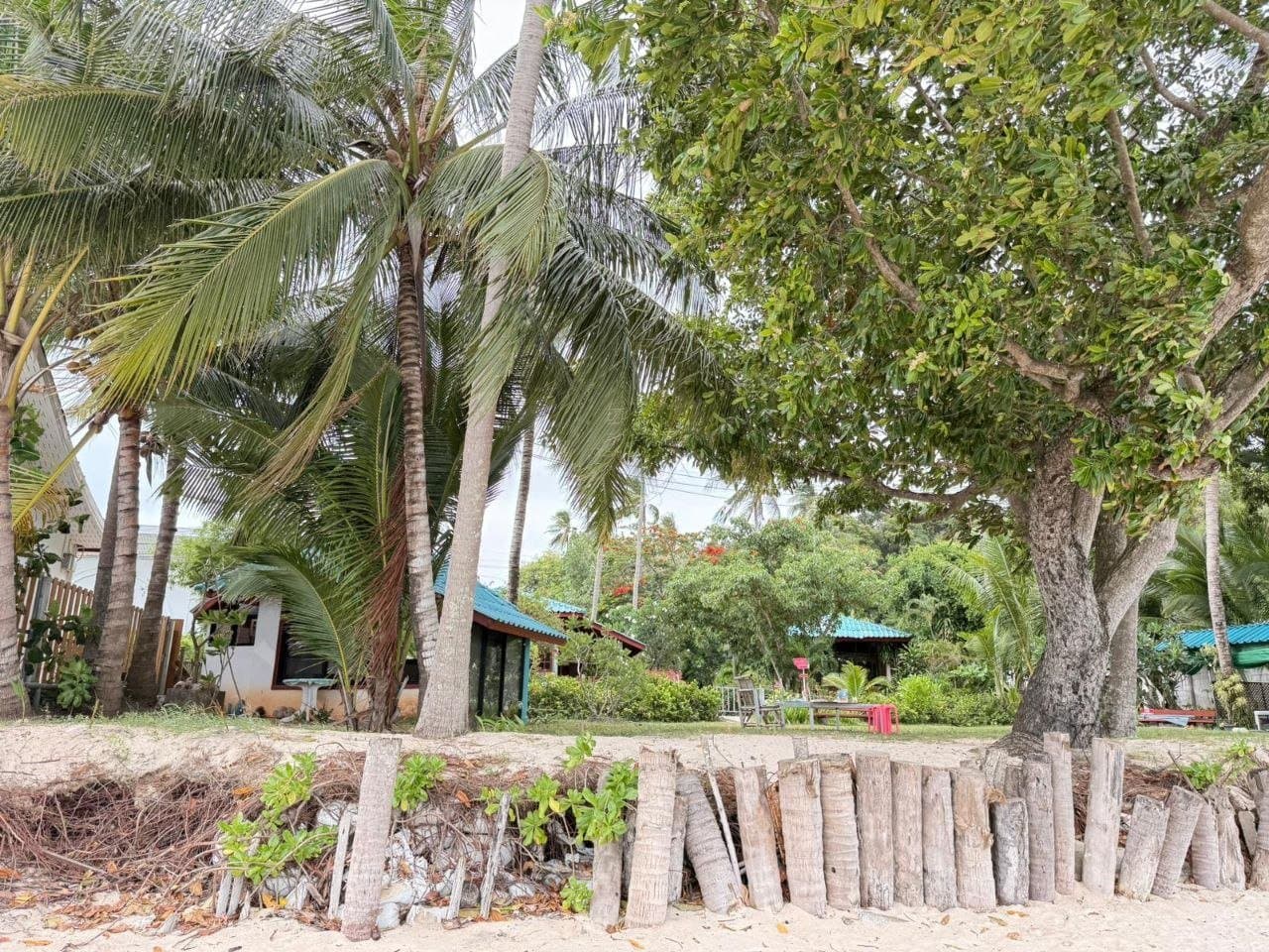 Beachfront & Hillside Development Land Overlooking Koh Phangan — The sand section of the holding