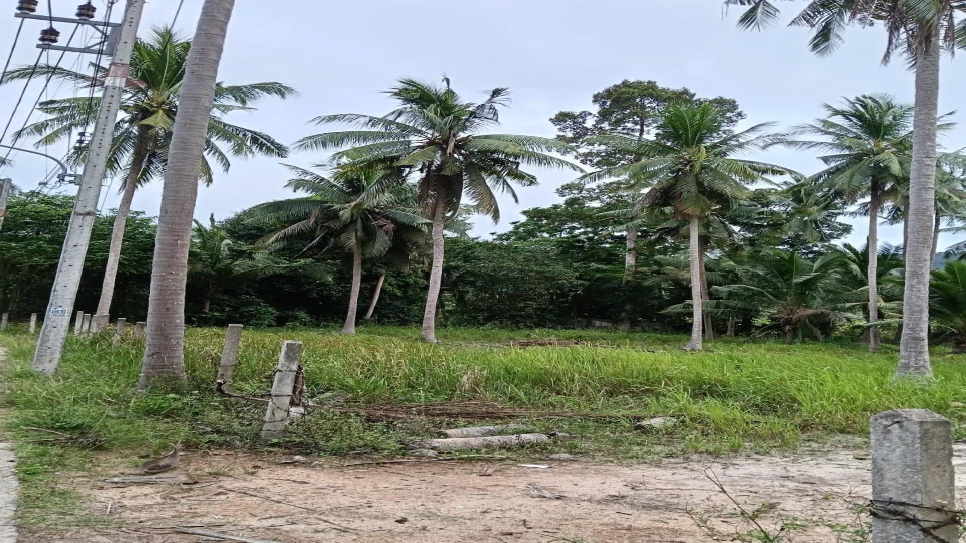 6 Rai Flat Chanote Land for Rent – 30-Year Lease in Mae Nam Soi 4 — Level, cleared and ready to build