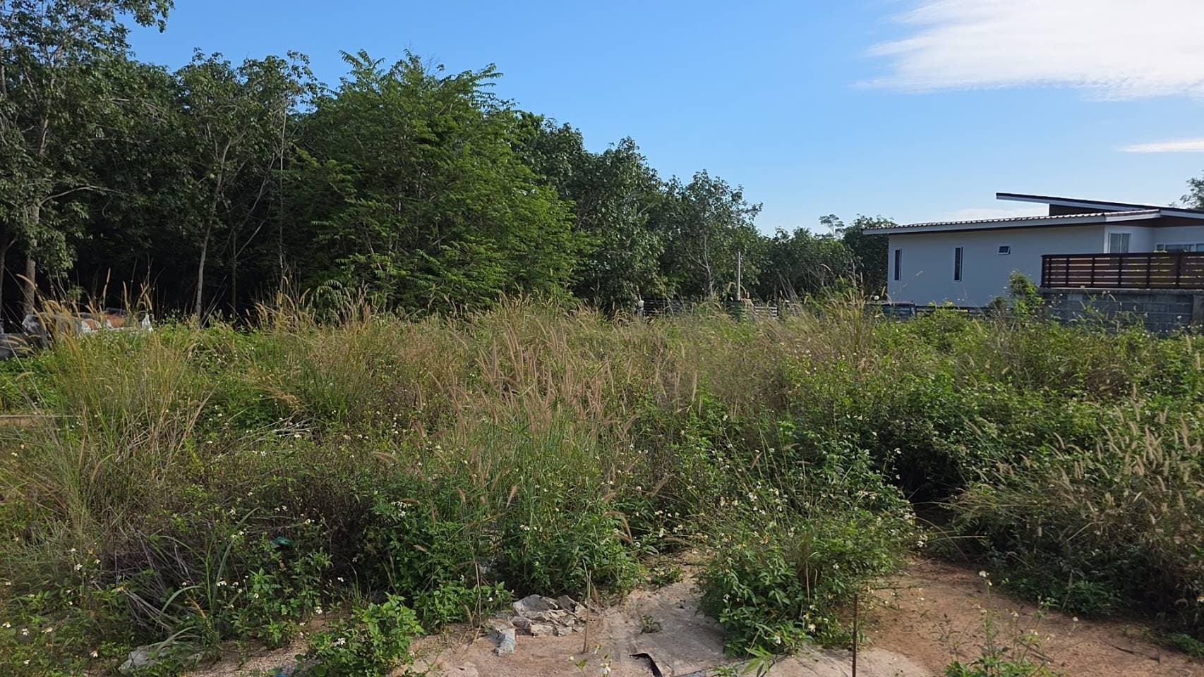 Urgent sale! Land in Ban Tai (800 sq.m.), excellent location, beautiful flat land, special price 5,000,000 baht. Owner selling directly. — Flat and ready for a house