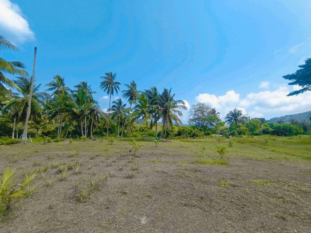 2.5 Rai Prime Land for Sale in Taling Ngam — The hills view behind the land