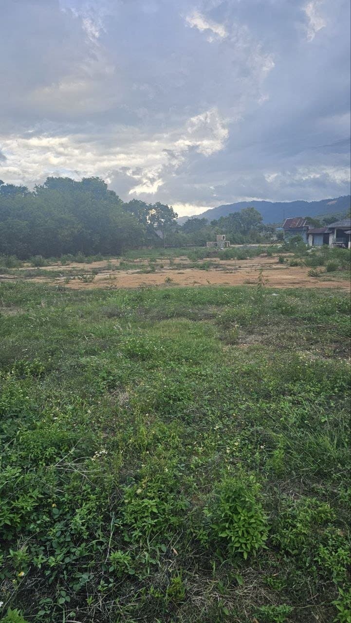 Long-Term Land Lease in Mae Nam | 2 Rai 3 Ngan — Level ground ready for one estate