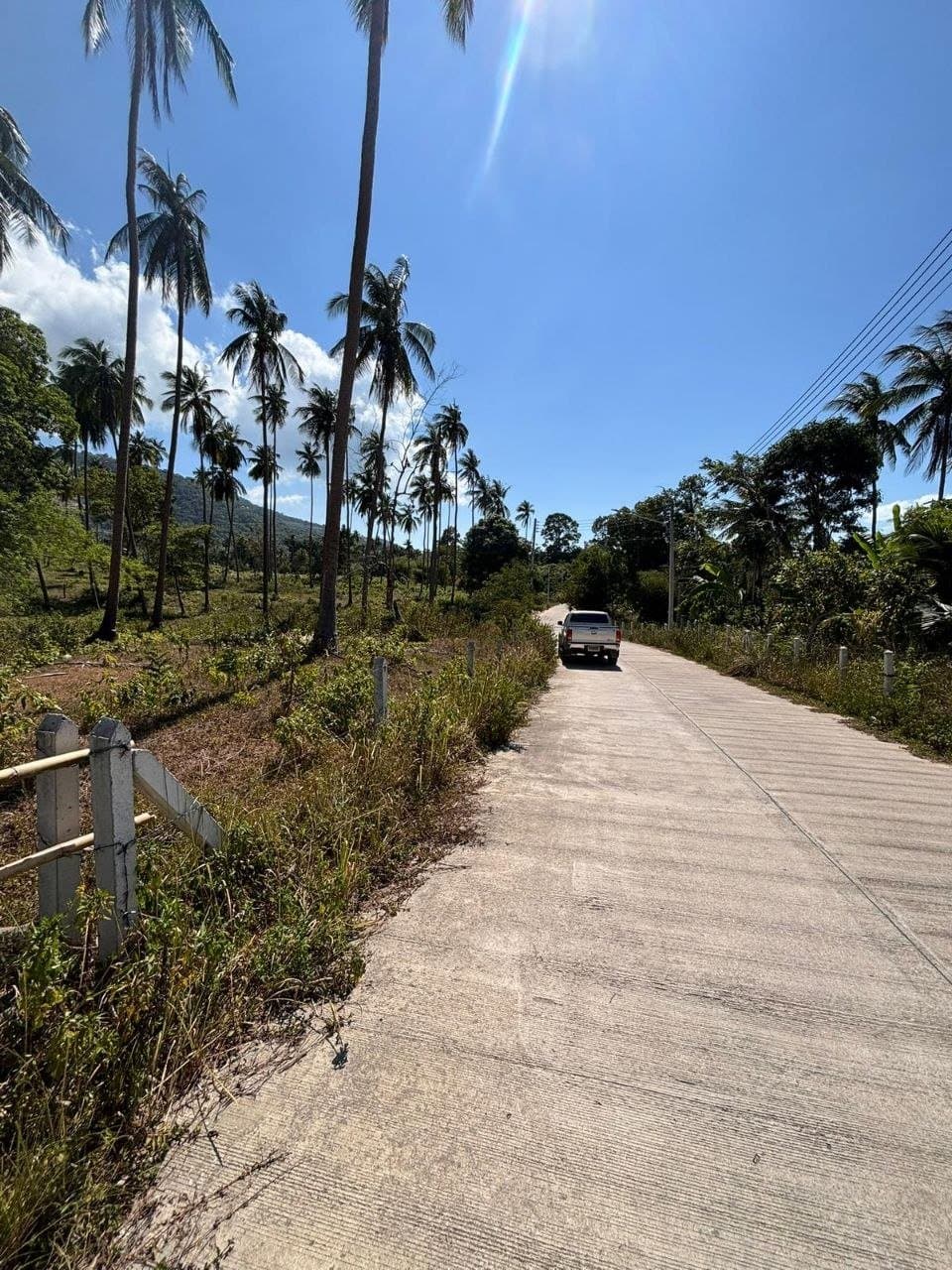 Land for Long-Term Lease in Mae Nam — Flat ground under coconut
